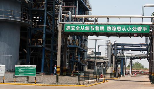 2025澳门原料1688茄子