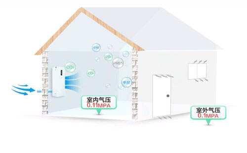 2025澳门原料1688茄子